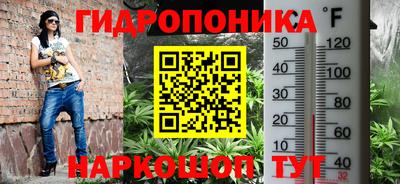 apvp Краснознаменск