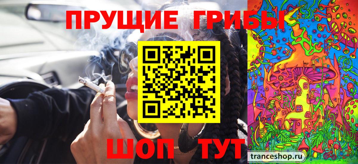 Псилоцибиновые грибы мицелий Каменск-Шахтинский
